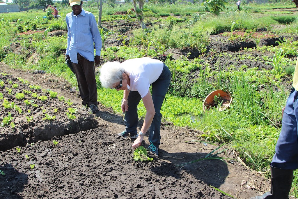 https://gartenfreunde-liberg.de/assets/bodenentsalzung-in-maputo/IMG_7643.JPG