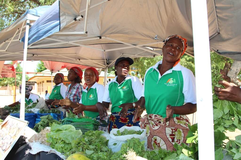 https://gartenfreunde-liberg.de/assets/bodenentsalzung-in-maputo/IMG_7721.JPG